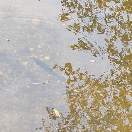 Cabana El Rio La Grande Zacatlán Εξωτερικό φωτογραφία