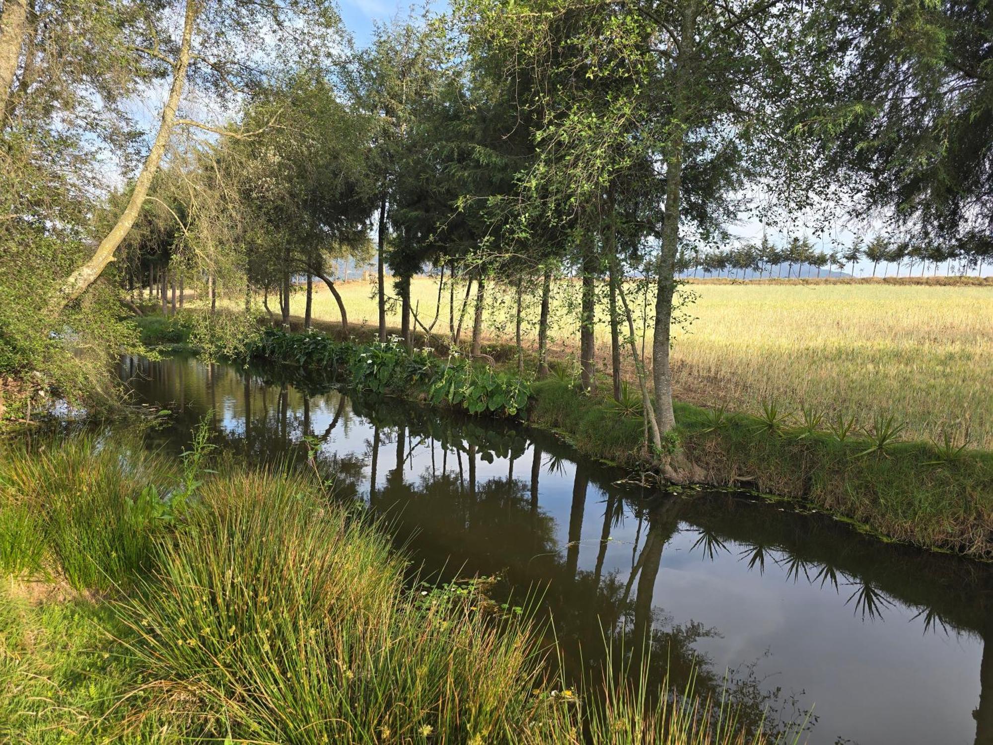 Cabana El Rio La Grande Zacatlán Εξωτερικό φωτογραφία